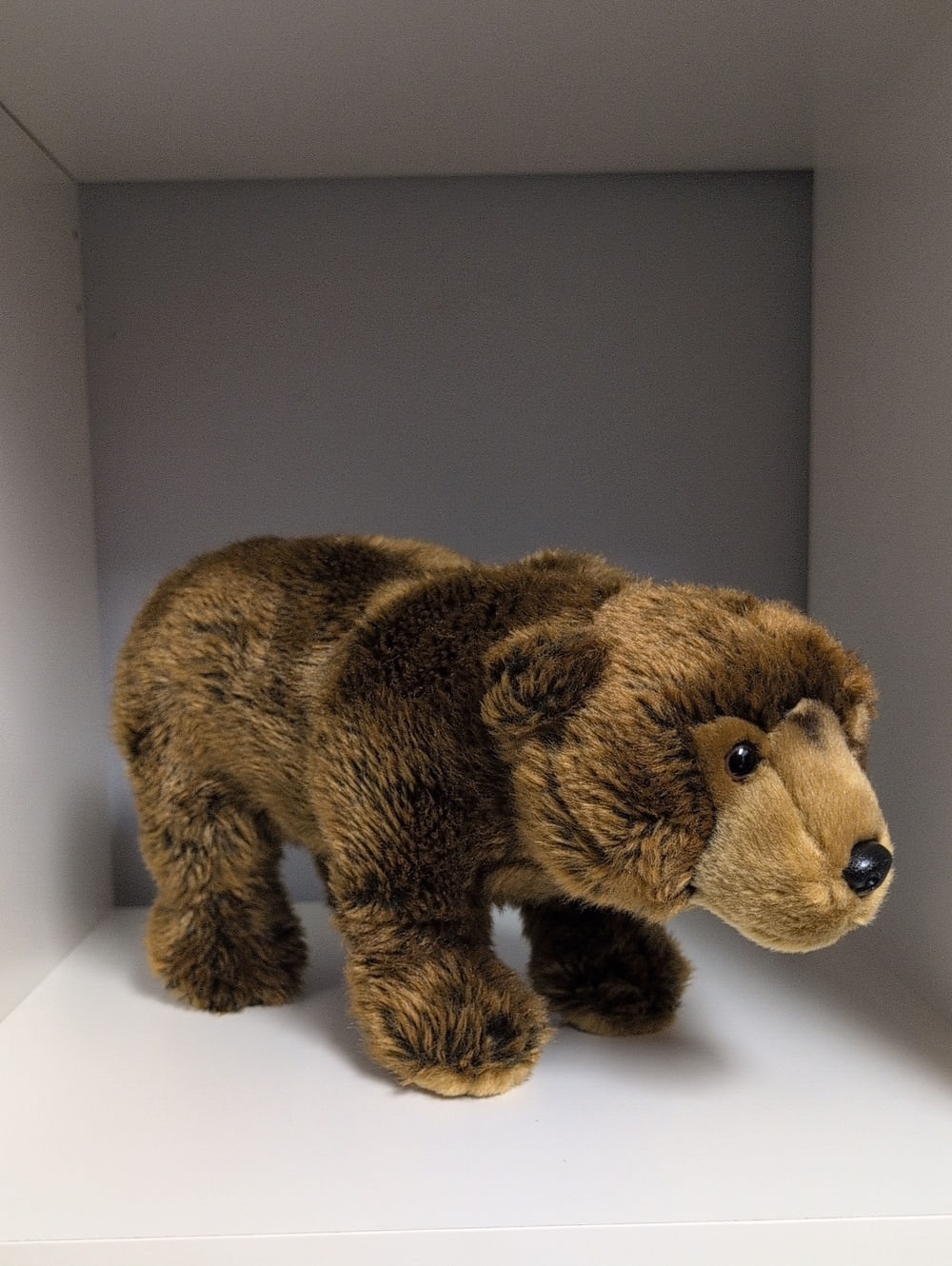 Webkinz Signature Endangered Brown Bear Mint Condition GANZ Collectible Plush